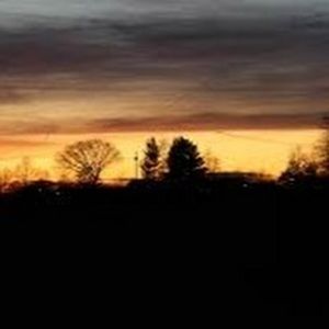 Meet your Posher, Carson